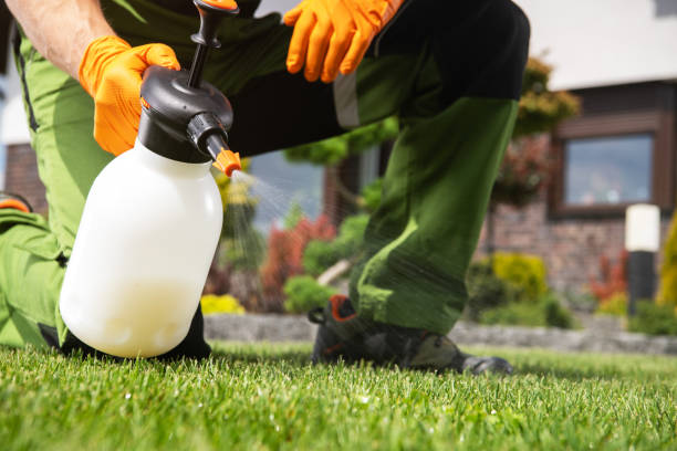 Best Rat Extermination Near Me  in Planada, CA