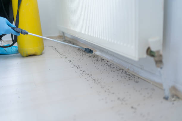 Best Pest Control for Homes  in Planada, CA