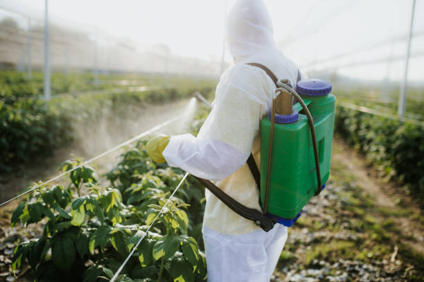 Best Pest Prevention Services  in Planada, CA